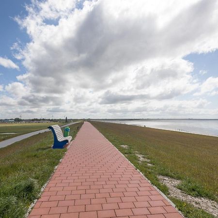 Direkt Am Deich - Ferienwohnung Amrum Im Gaestehaus Am Badedeich Дагебюлль Экстерьер фото